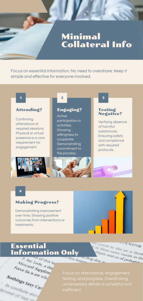 Educational graphic explaining minimal collateral information and focused documentation for therapists, emphasizing attendance, engagement, testing, and progress.
